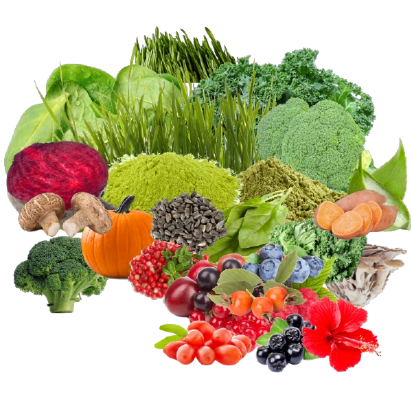 groenten en fruit in nutrins whole meal